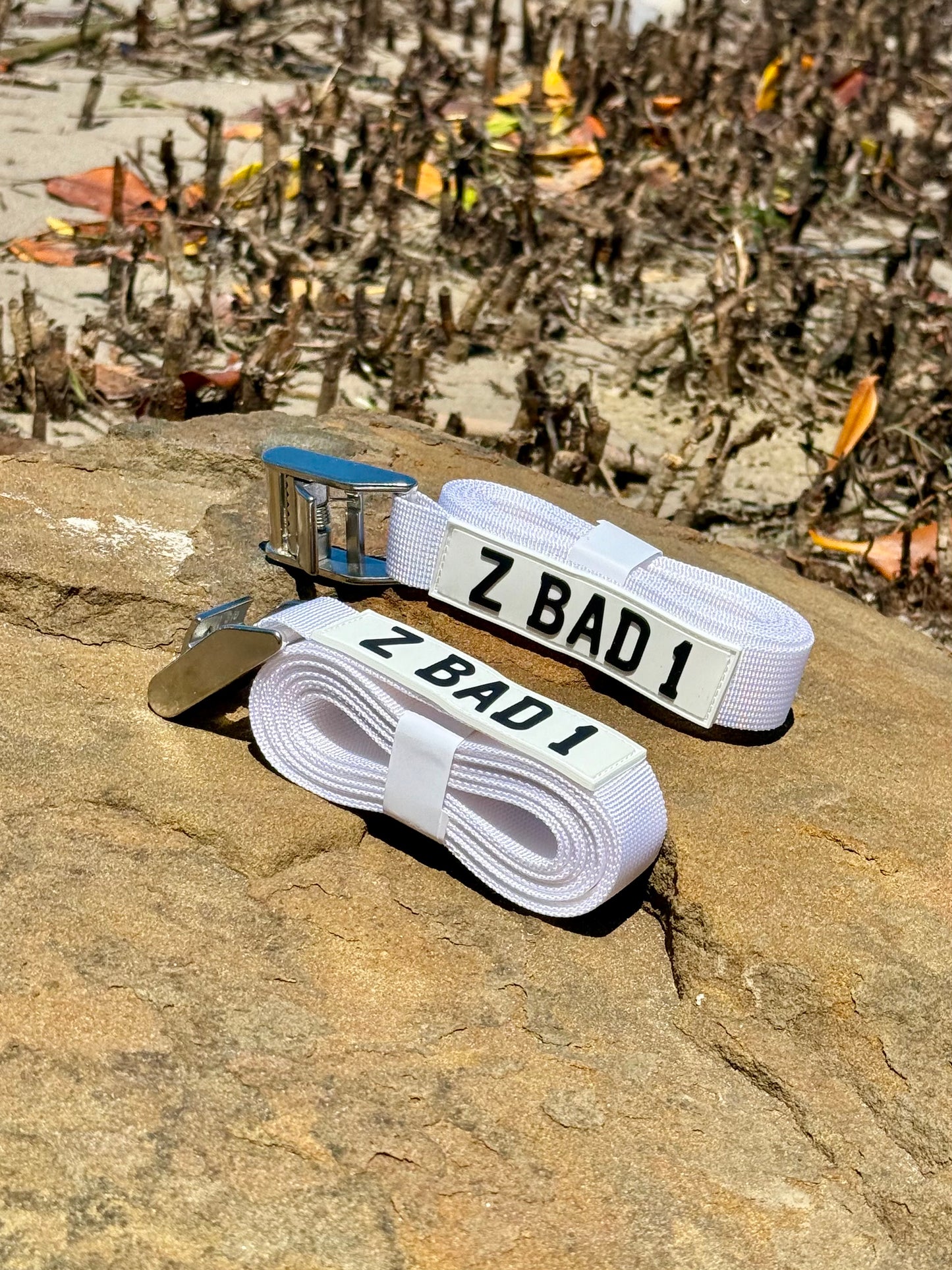 ZBAD1 - Marine Grade Tension Straps