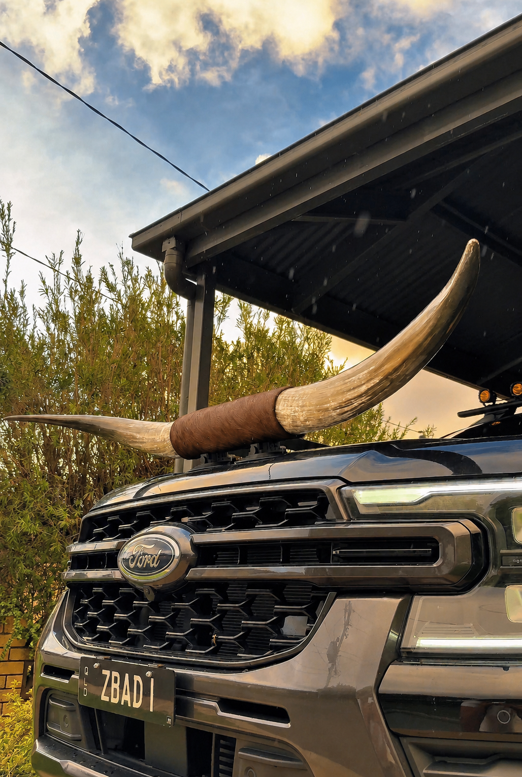 Custom Made Suction Mount Long Horns