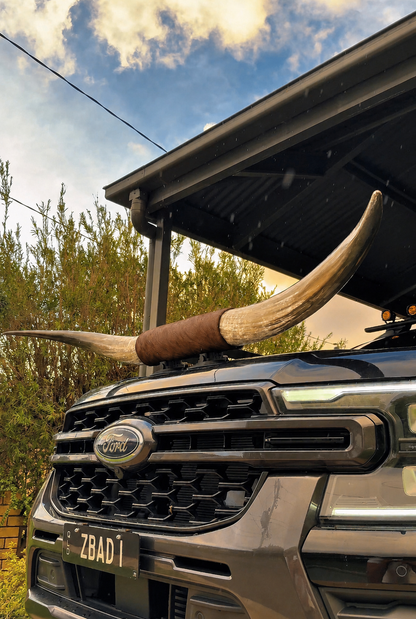 Custom Made Suction Mount Long Horns