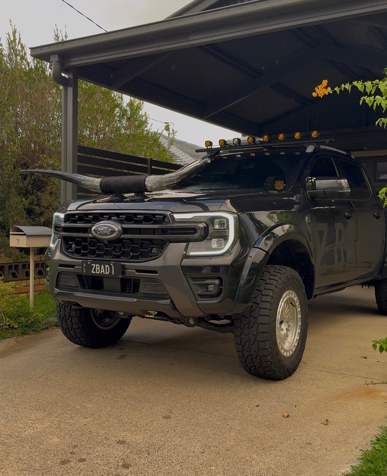 Custom Made Suction Mount Long Horns