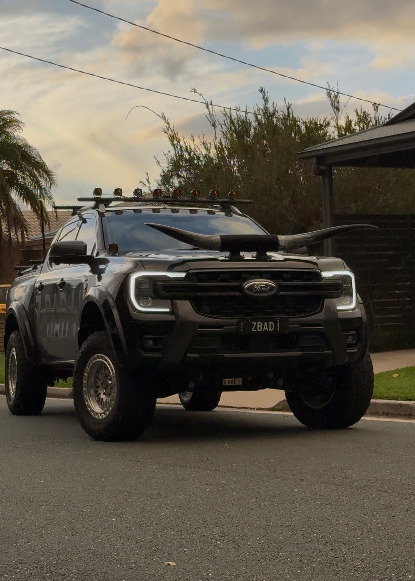 Custom Made Suction Mount Long Horns