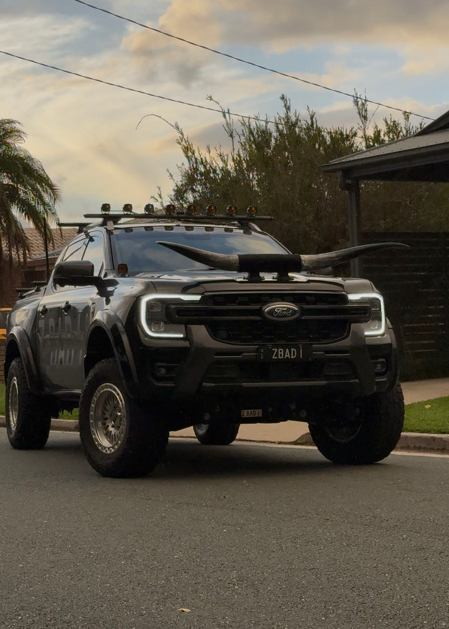 Custom Made Suction Mount Long Horns