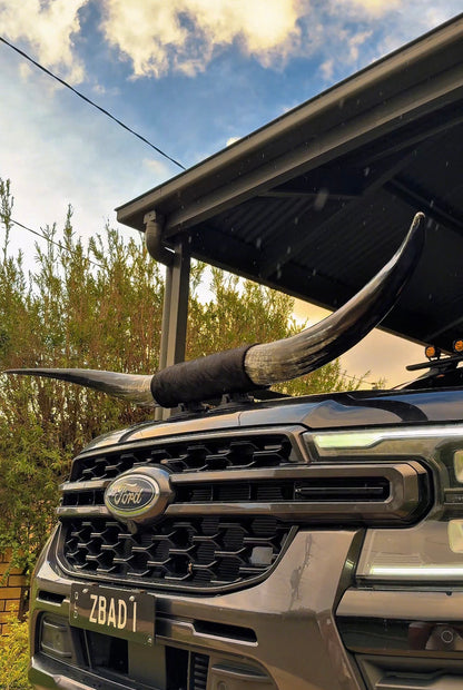 Custom Made Suction Mount Long Horns